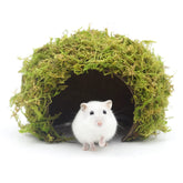 Cachette SanmooAio pour hamster grande en fibre coco et mousse naturelle, abri sûr