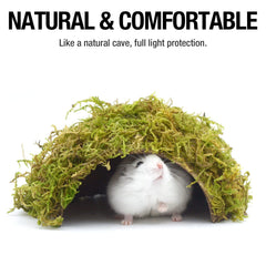 Cachette hamster multi-usage SanmooAio: dort, joue et grimpe en sécurité.