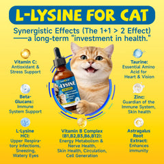 Gouttes SANSICE L-Lysine pour chats, soutien des voies respiratoires