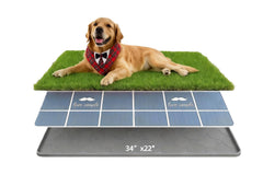 Santiway tapis herbe chien 34x22 pouces, entraînement pratique et confortable.