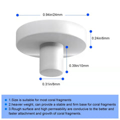 Saricho base-corail-frag-ronde-detail: support rond robuste facilitant l’ancrage des coraux.