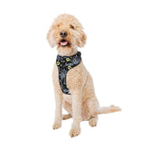 Harnais Sassy Woof Batman™ avec deux anneaux en D sur le dos, idéal pour promenades sécurisées.