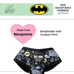 Harnais Sassy Woof Batman™ maille respirante pour chien au frais lors des sorties.