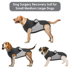 SAWMONG protection-ventre chien: couverture post-opératoire complète
