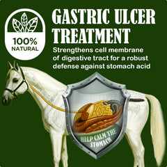 Granules appétissantes SBS Equine Starting Gate, faciles à intégrer au repas.