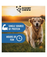 Scooby Cheww – protéine élevée, soutien potentiel pour chiens actifs.