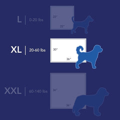 Tapis absorbant à couches multiples Scott Pet Guard XL 30x36
