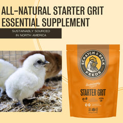 Scratch and Peck Starter Grit poulets: usage quotidien dans le régime.