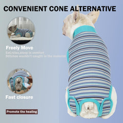Sebidtco combinaison post-chirurgie chien femelle, liberté de mouvement