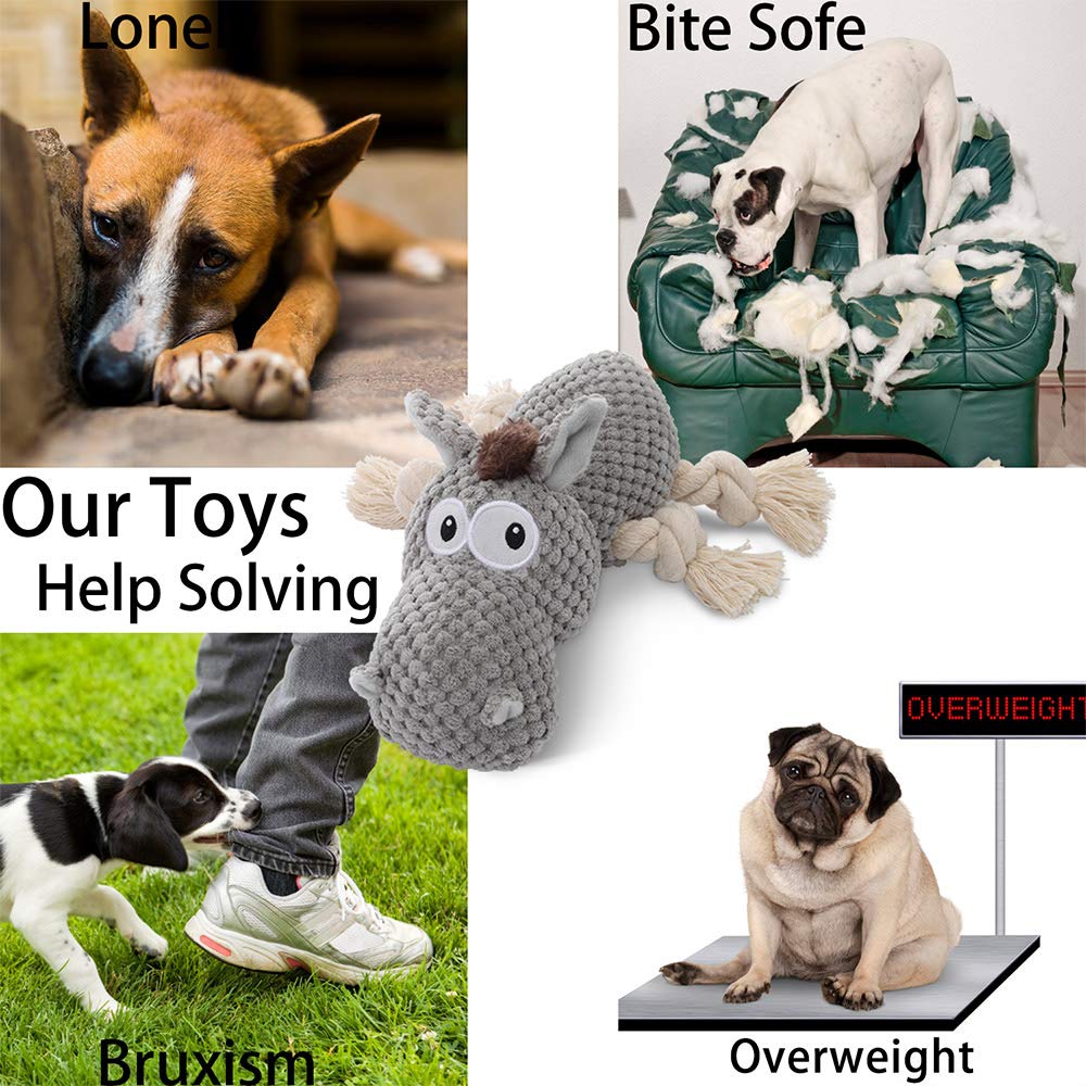 Jouet Sedioso donkey gris pour entraînement interactif et stimulation mentale.