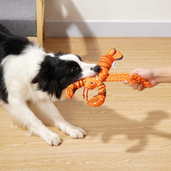 Sedioso langouste – jouet-chien-dentition, favorise une hygiène bucco-dentaire en douceur.