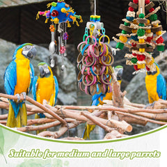 Seenelling blocs-bois-naturel-couleurs-vives : blocs durables pour mâchage et exploration.