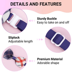 Segarty accessoires-toilettage-animaux, pour une présentation soignée.
