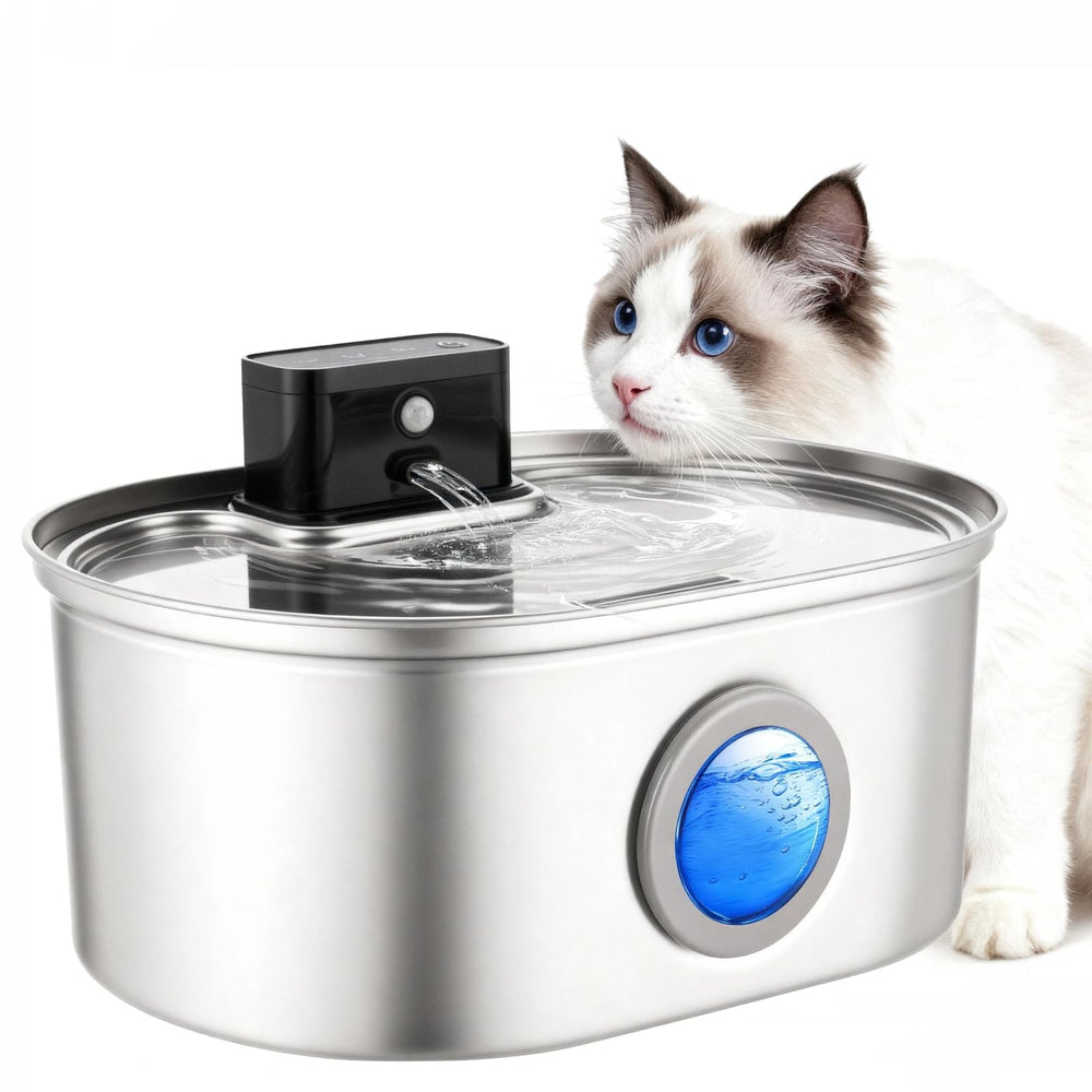 SELOOYE fontaine chat acier inoxydable, grande capacité pour hydratation constante.