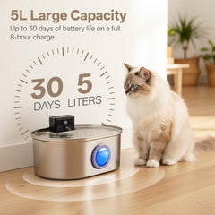 SELOOYE système sans fil et batterie 4200mAh, autonomie longue.