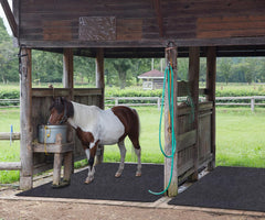 SEMPADA tapis sol stable absorbant capture liquides et garde zone propre