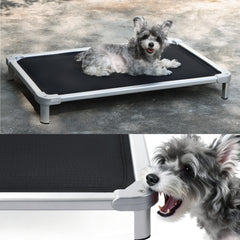 Senneny lit chien anti-mordillage elevé prêt pour usage intérieur et extérieur.