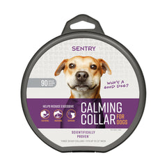 Sentry collier apaisant chien en action lors d un orage pour calmer le chien