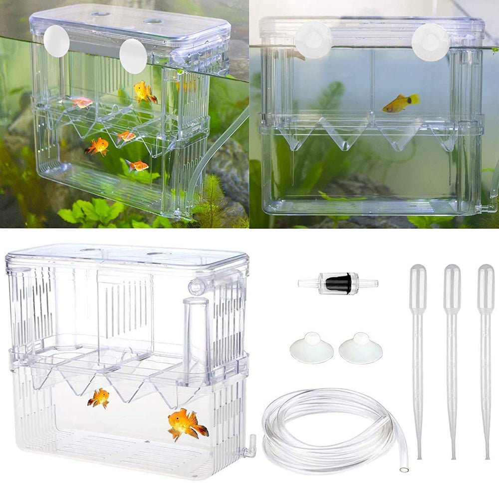 Senzeal boîte élevage avec ventouses pour maintien stable dans l'aquarium
