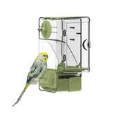 Septillar distributeur automatique d'oiseaux avec perchoir, alimentation pratique et propre.