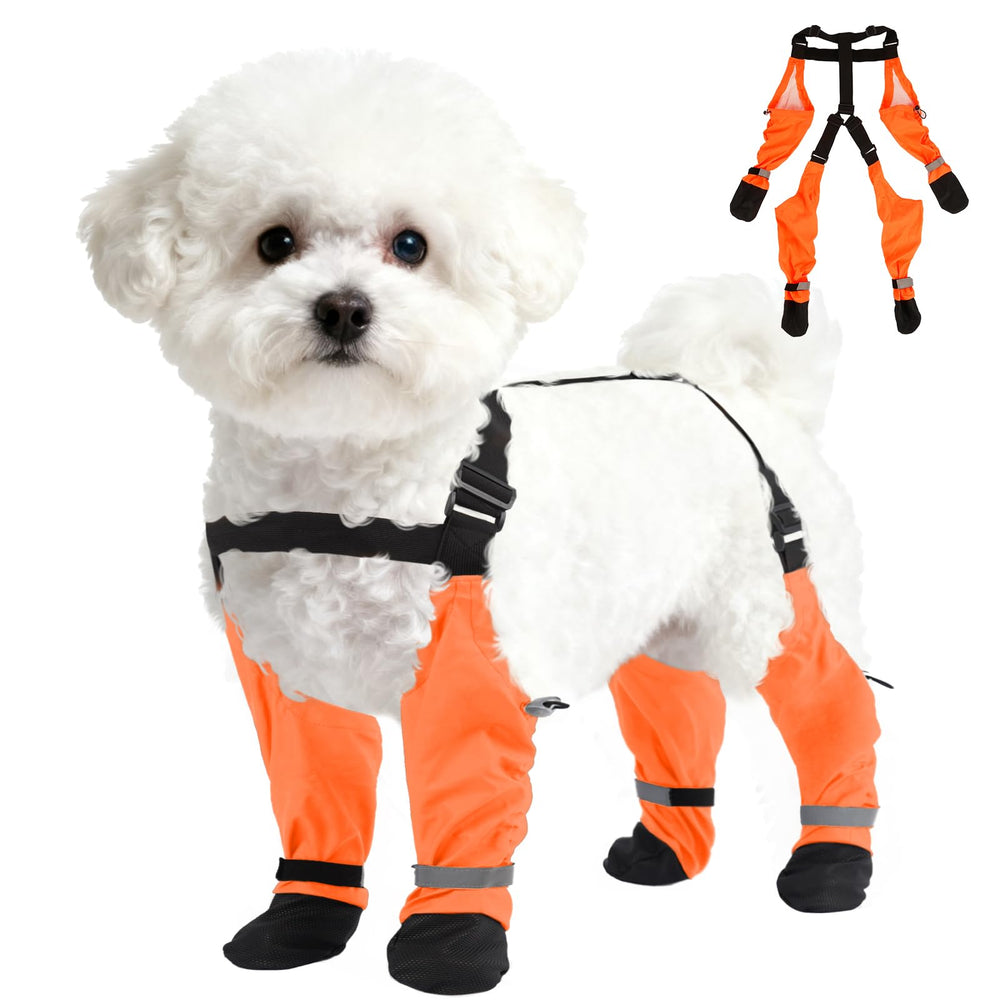 SeranPup bottes-pattes-xs imperméables pour protéger les pattes en neige.
