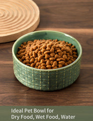 Bol Seyatoo pour animaux variés en céramique, vert, usage polyvalent