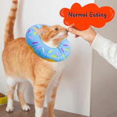 Seyezo collier cone chat donut bleu petit en action, mouvement libre.