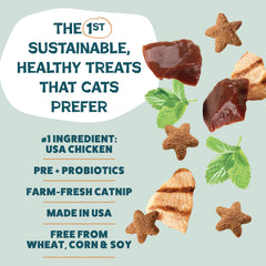 Shameless Pets Catnip N Chill – étoiles croquantes, moment de détente pour chats.