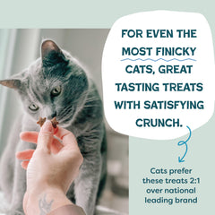 Forme étoilée des friandises Shameless Pets, faciles à mâcher