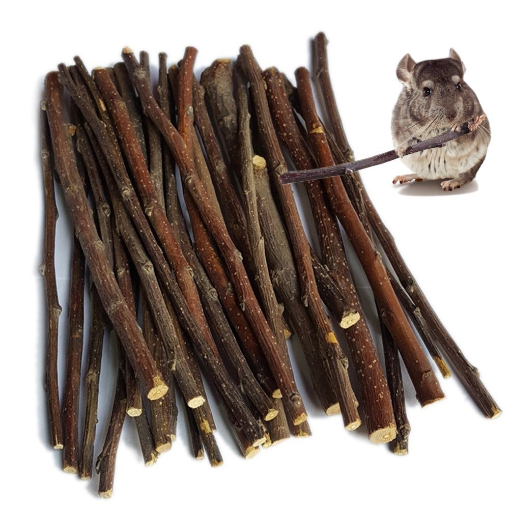 Sharllen batonnets pomme pour rongeurs, stimule la mastication