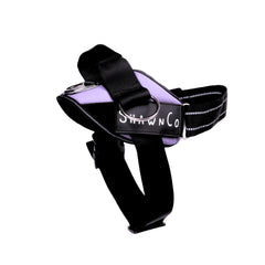 ShawnCo Essential Pro harnais chien avec patch réfléchissant pour sécurité nocturne.