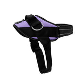Harnais SHAWNCO Essential pour chien, mise en place rapide et ajustement confortable.