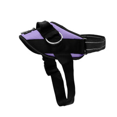 Harnais SHAWNCO Essential pour chien, mise en place rapide et ajustement confortable.