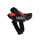 Harnais ShawnCo Essential Pro vu avant pour un confort et un contrôle améliorés.