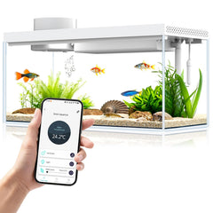 Sheawasy aquarium de bureau en verre 1,3 gal, vue claire et silencieuse pour le bureau.