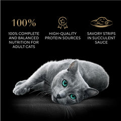 Sheba portions parfaites saumon grillé, texture délicate et goût relevé.