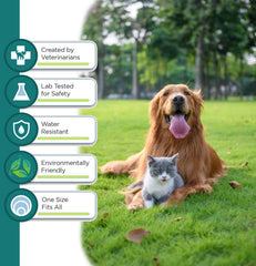 ShengKou collier naturel et sûr pour la sécurité du chien.