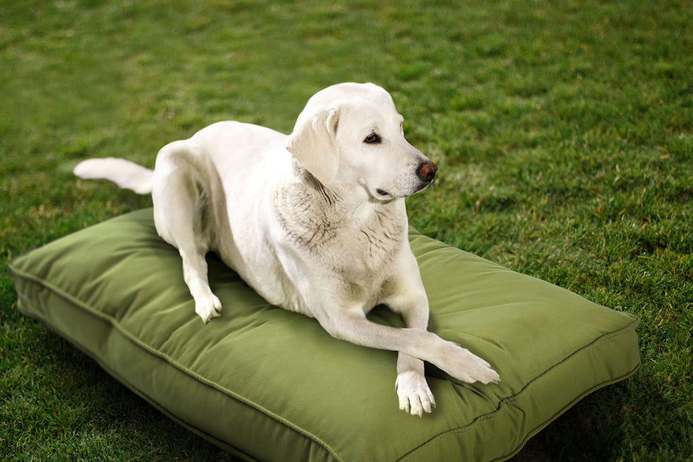 Sherry Kline Sunbrella pour chien, usage intérieur et extérieur, confort polyvalent.