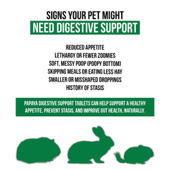 Tablettes Sherwood Pet Health papaye-ananas-banane: saveur naturelle appréciée par les animaux.
