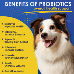 SHINEPAWS Probiotiques pour chien – ingrédients naturels pour la flore intestinale