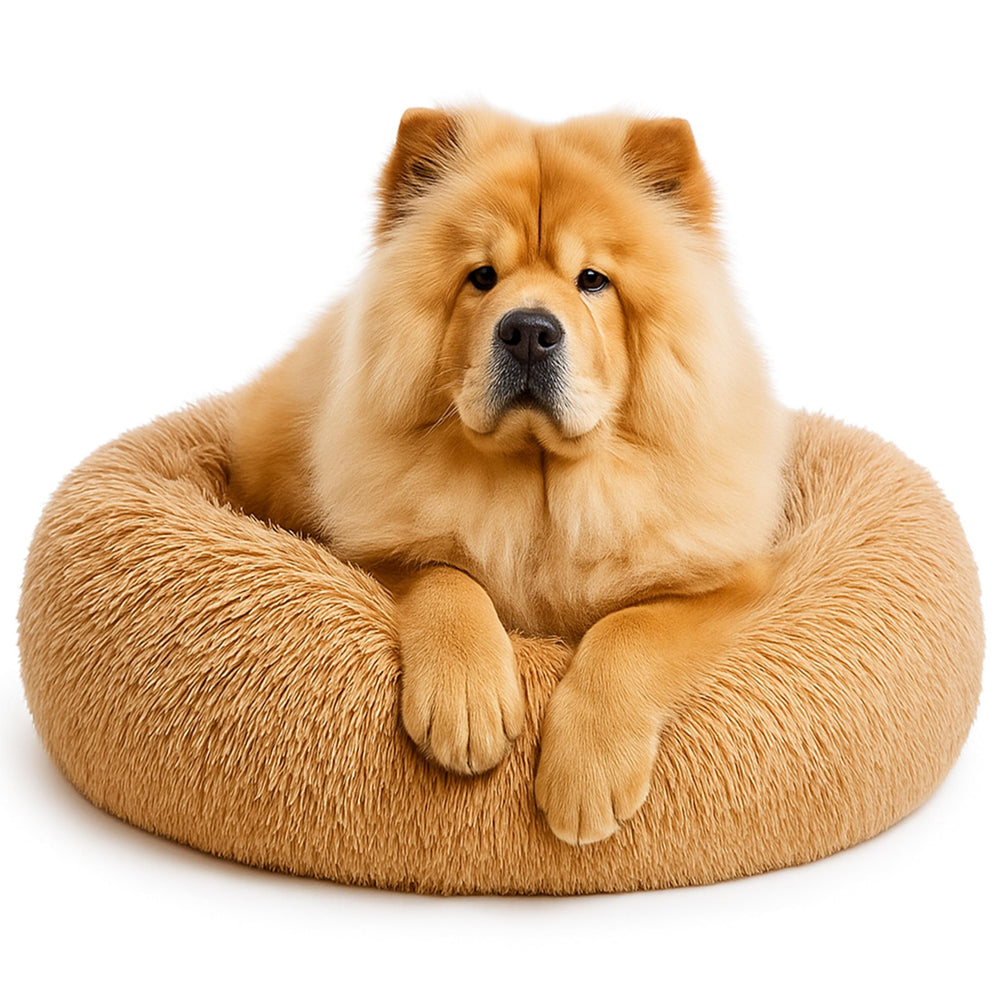 SHINY-V lit chien donut apaisant, confort et sécurité pour le sommeil.