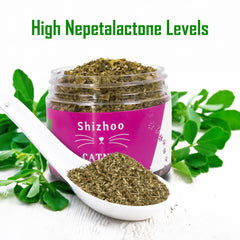Shizhoo Catnip arôme irrésistible libéré pour stimuler le jeu.