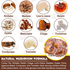 Shuangjia Complexe 11 champignons - mélange premium pour le soutien du système immunitaire.