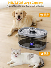 SIBAYS fontaine-chien 3-flux, modes variés pour favoriser l'hydratation