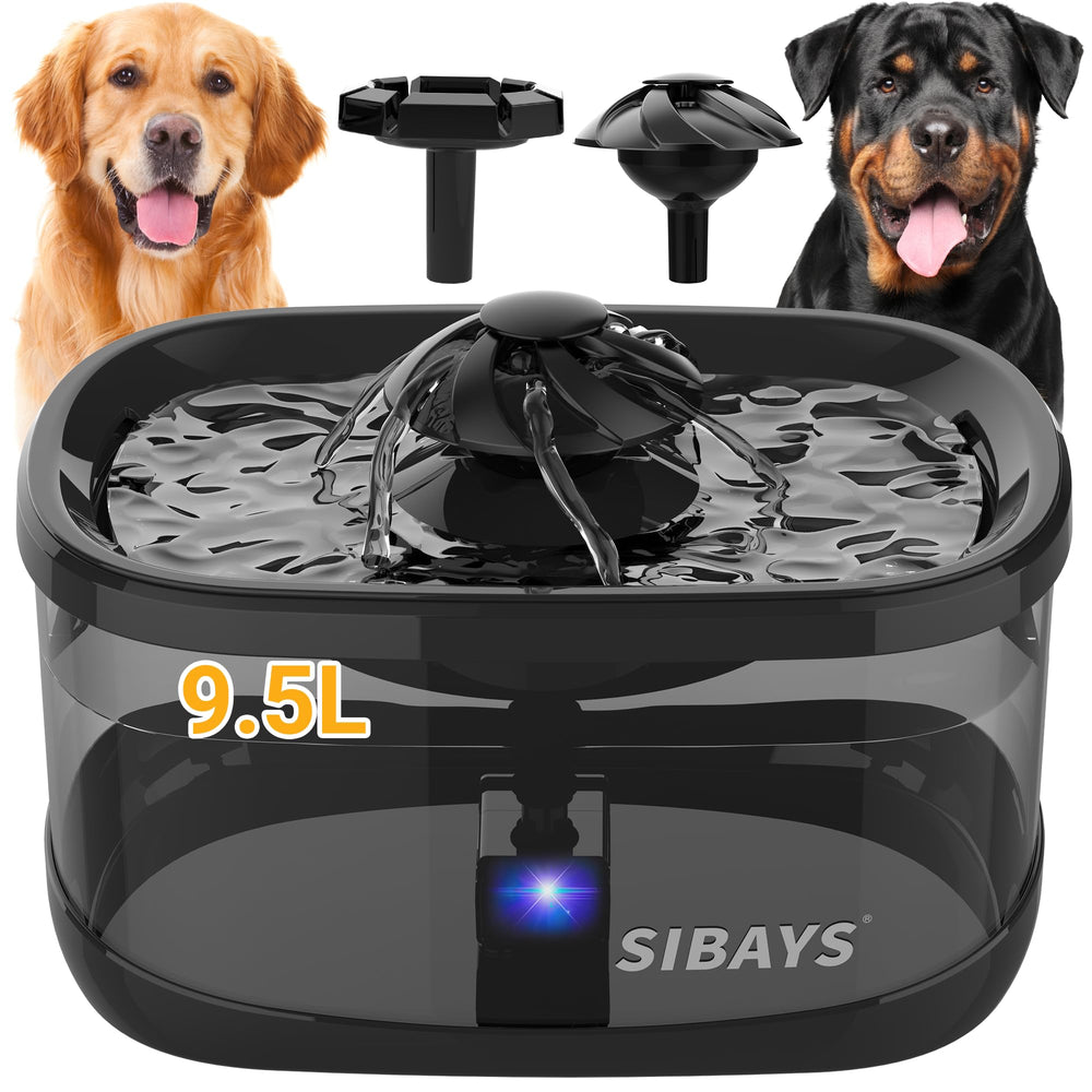 Fontaine SIBAYS pour chiens et chats, grande capacité 9,5 L, sans remplissages fréquents.