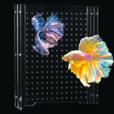 Diviseur d'aquarium 5 galons SIKGFPN ajustable, séparation nette.