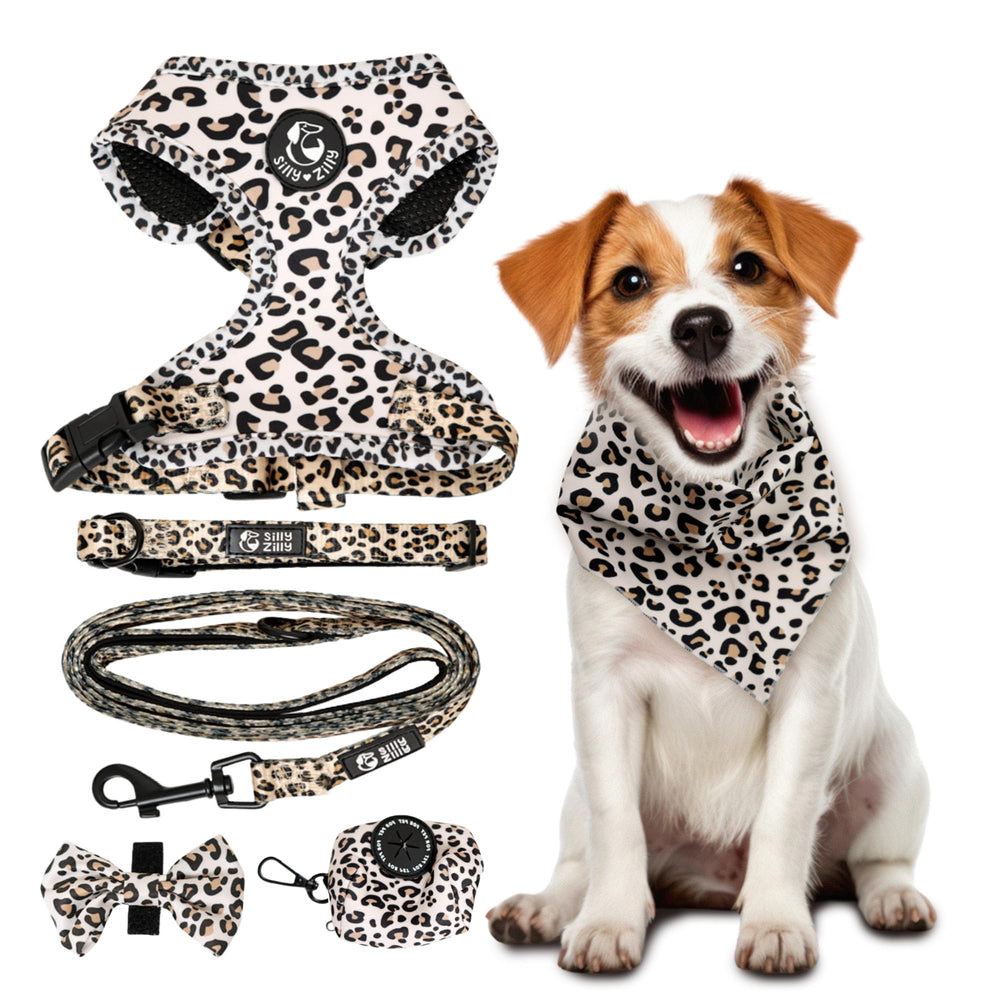 Ensemble Silly Zilly harnais et laisse 6-en-1 pour chien grand, confort et praticité.
