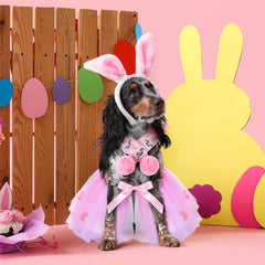 SilTriangle écharpe Paques pour chien, accessoire chic et festif.