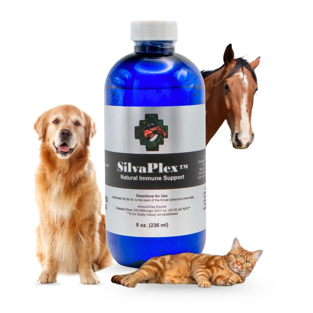 SilvaPlex: bouteille de 100 PPM argent chélaté, soutien immunitaire naturel pour animaux.