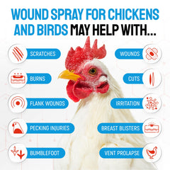 SILVER GRADE bouteille-soin-poulets : solution pratique à domicile.